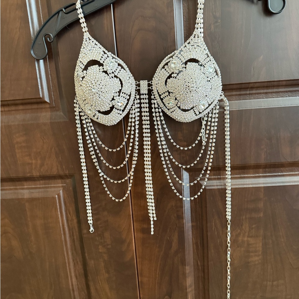 Elegant Silver Rhinestone Bra